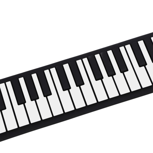 Electronic hand roll - electronic,
